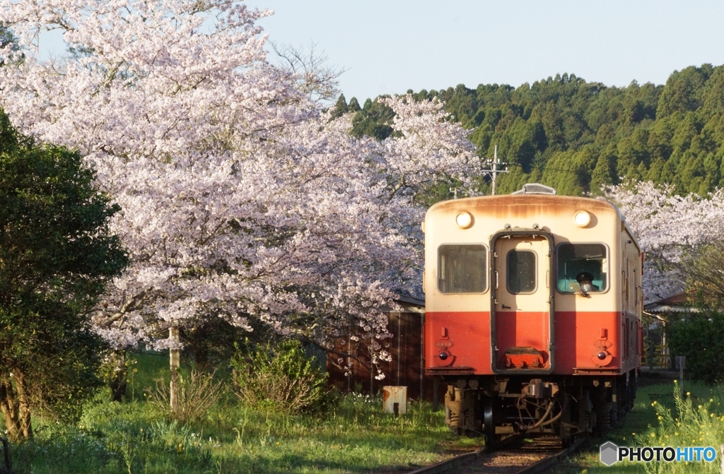 小湊鉄道　高滝駅