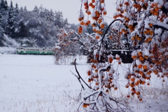 雪に埋もれて！