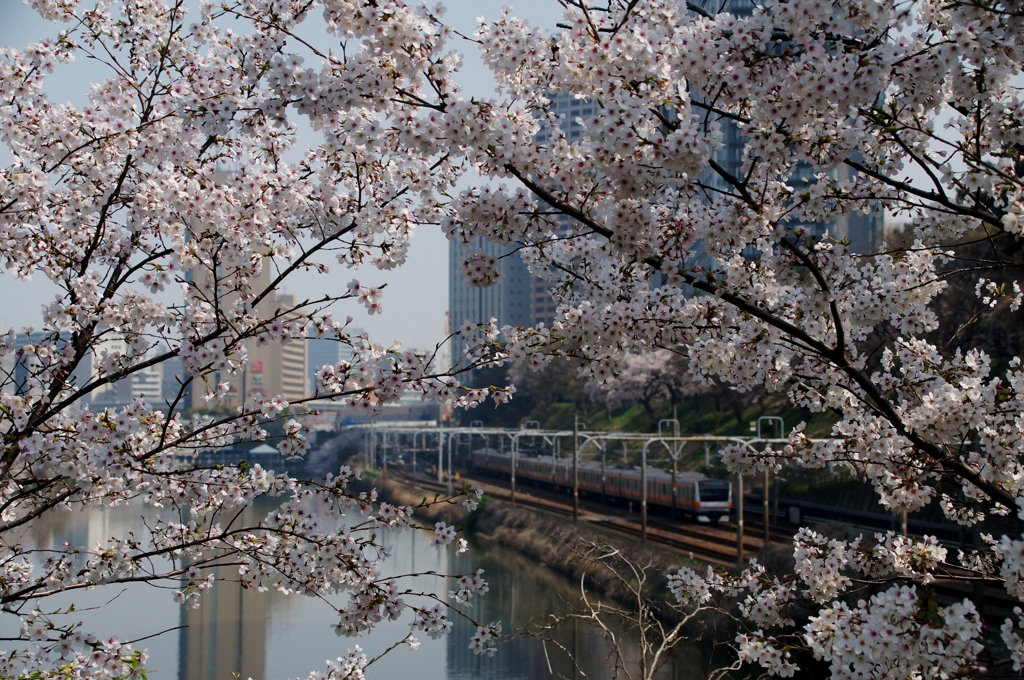都会のオアシス❓