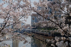 都会のオアシス❓