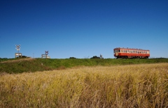 いすみ鉄道定番撮影地！①