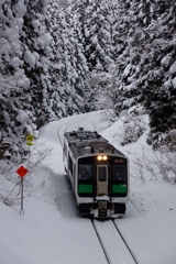 寒波による着雪が綺麗な沿線！②