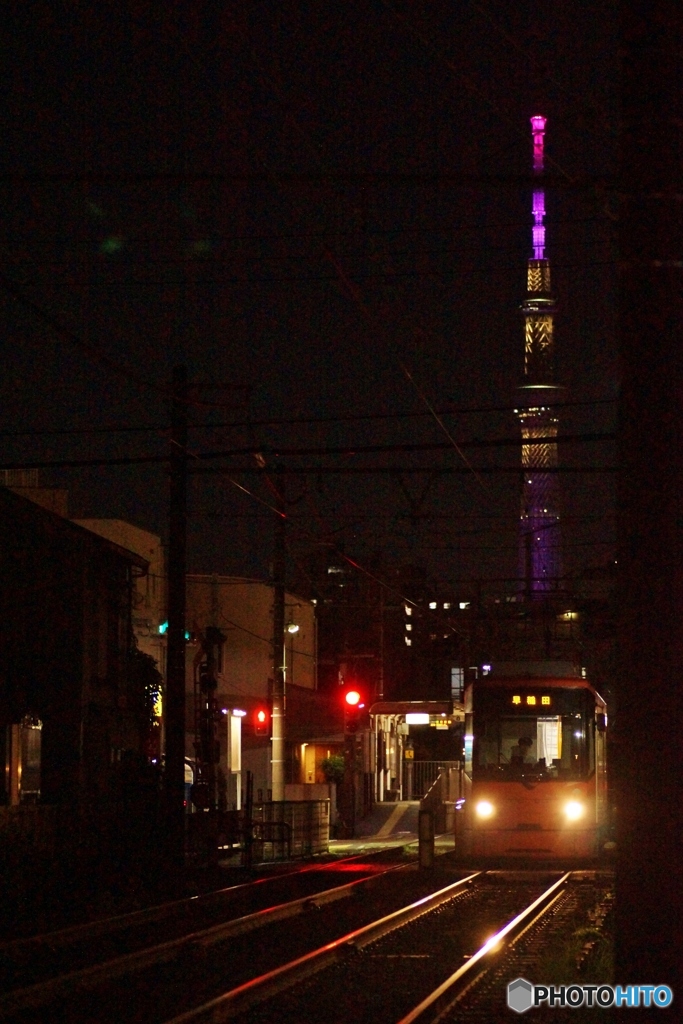 東京さくらトマム（都電荒川線）東京スカイツリーとの夜景②