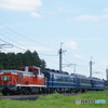 今では貴重なDE10牽引列車！