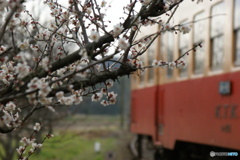 小湊鉄道との出逢い！②
