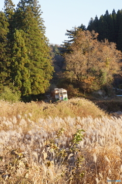初冬の小湊鉄道　キハ40！