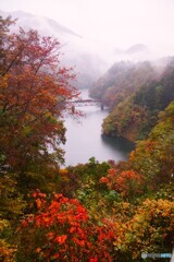 只見線第３橋梁の紅葉！