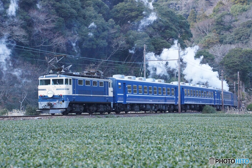 ブルートレイン急行バックビュー！