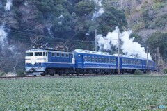 ブルートレイン急行バックビュー！