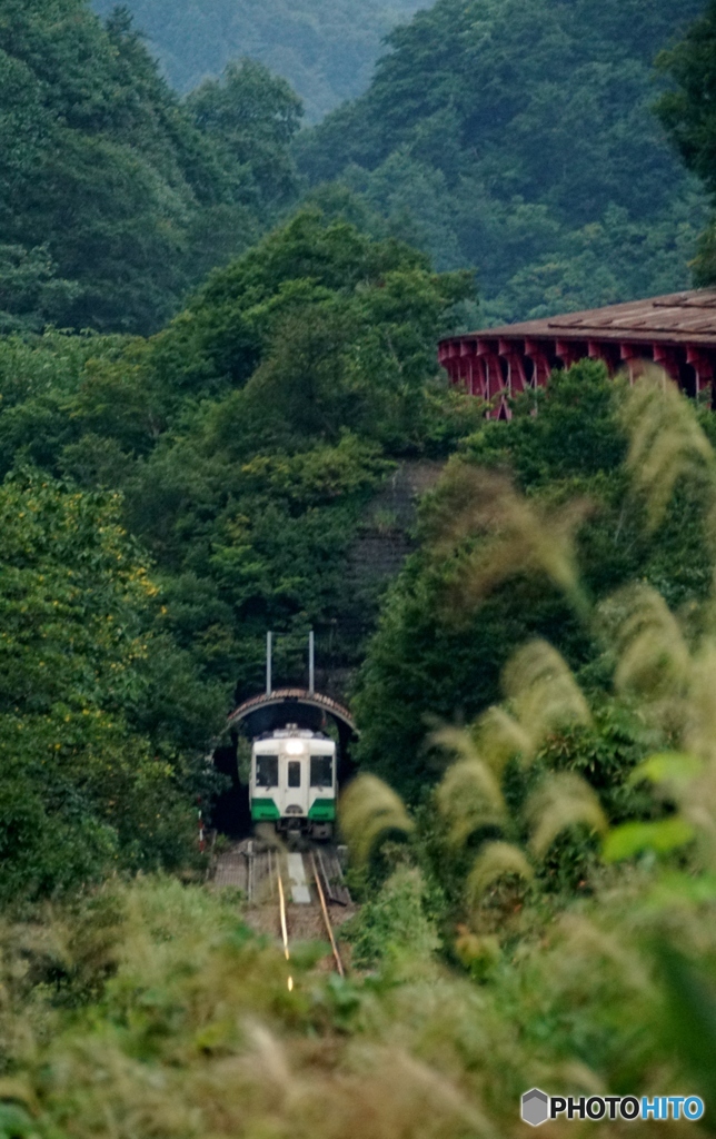 トンネルからの飛出しキハ110！