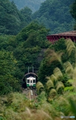 トンネルからの飛出しキハ110！