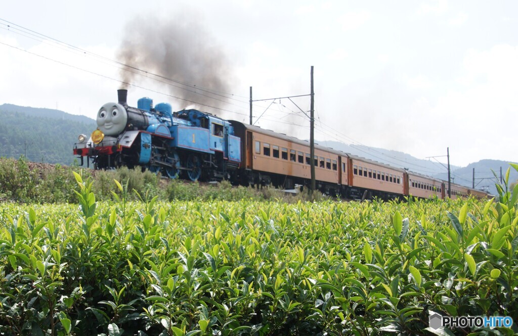 大井川鉄道の看板列車「トーマス」号！