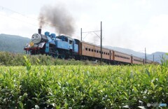 大井川鉄道の看板列車「トーマス」号！