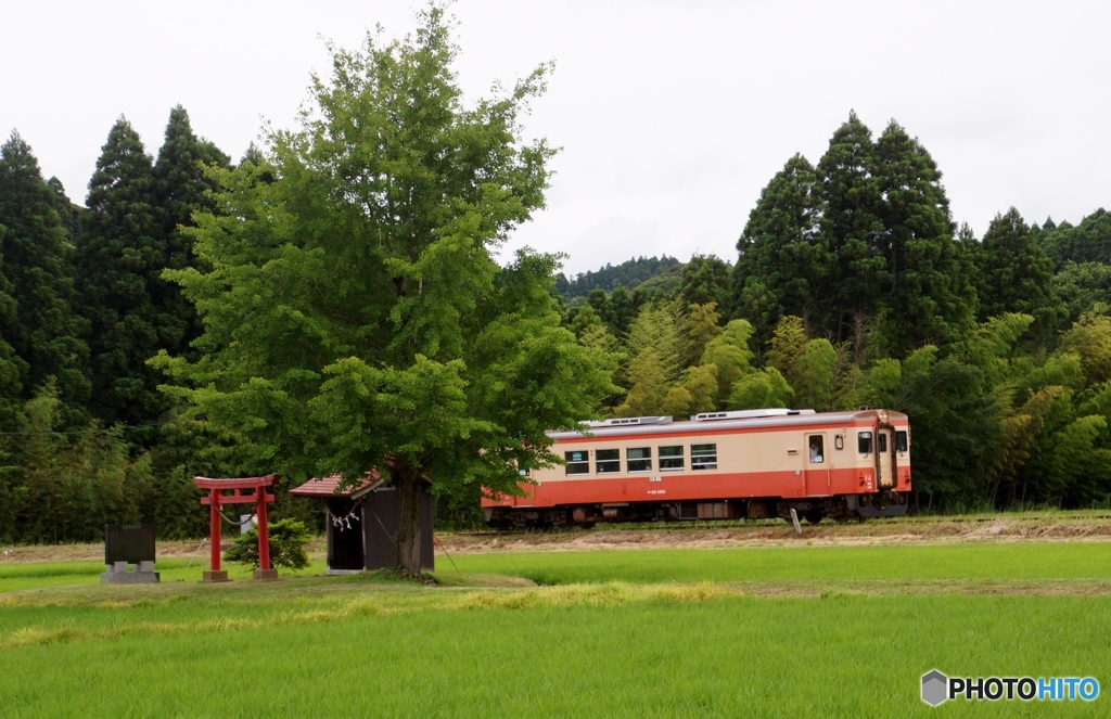 キハ20と祠！
