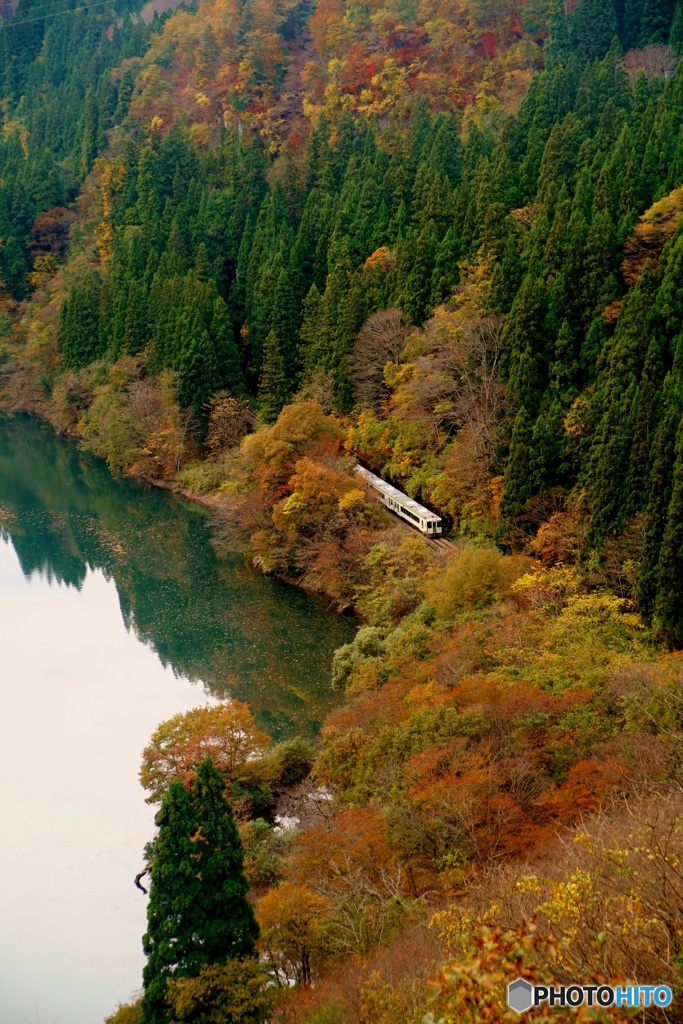 紅葉の中の臨時列車！