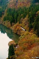 紅葉の中の臨時列車！