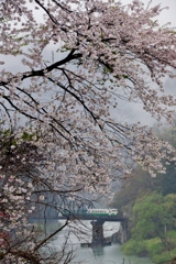 只見線第４橋梁平成最後の春②