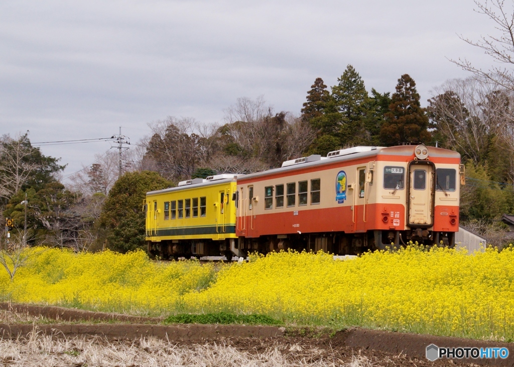 いすみ鉄道のキハ20！①