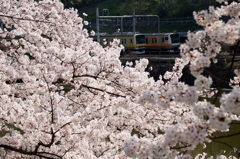 東京都心でもこんな写真が…③（完）