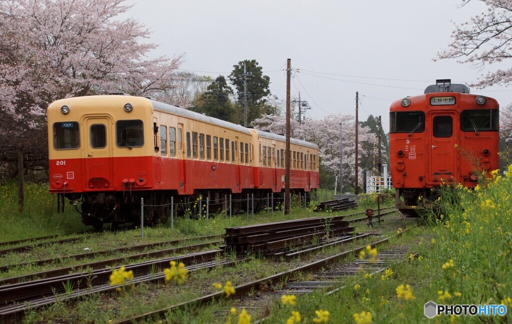 里見駅　列車交換風景！