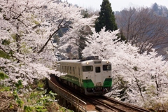 只見線の春！①