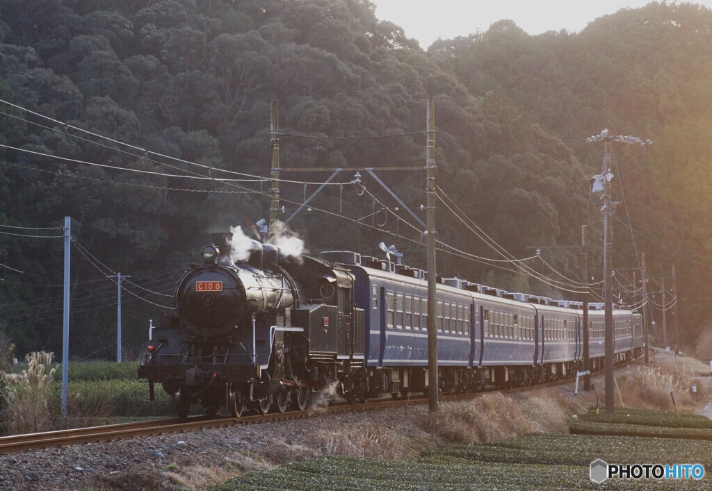 ブルートレイン急行バックビュー！