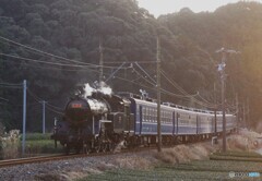 ブルートレイン急行バックビュー！