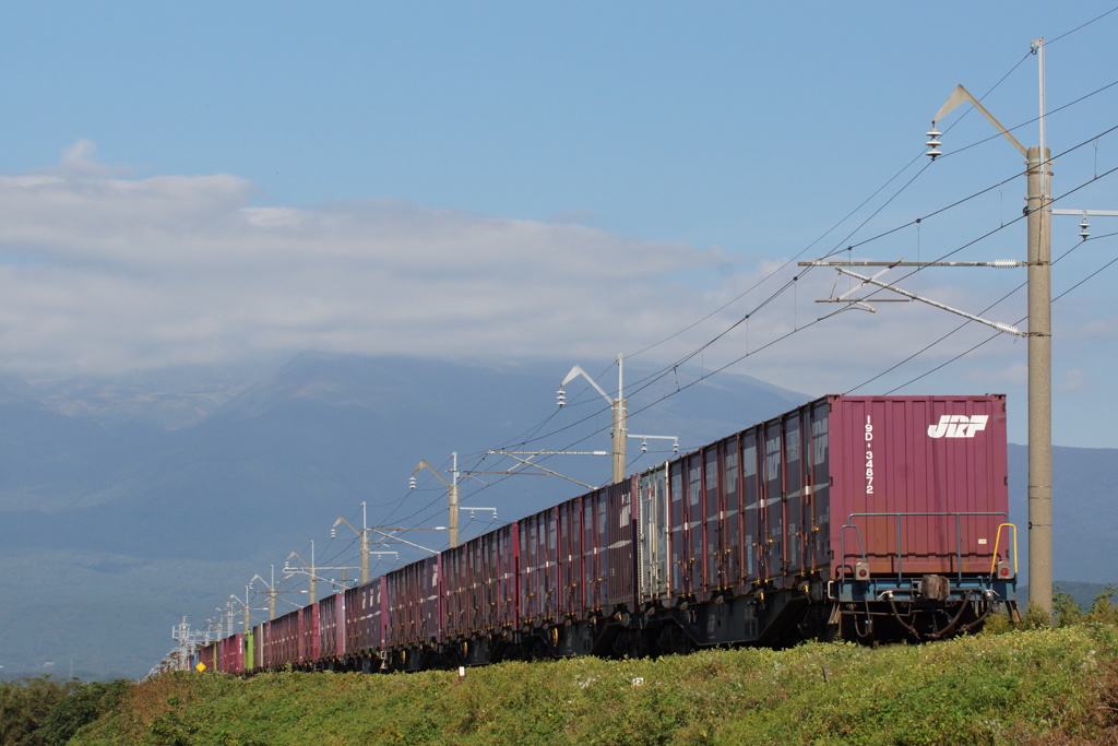 コンテナ貨物の後ろ姿！
