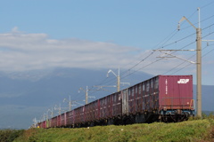 コンテナ貨物の後ろ姿！