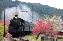 大井川鉄道の春の景色！