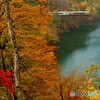 紅葉の中を突っ走るキハ120・110人気編成！