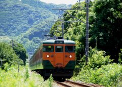 内房線で見た湘南色１１３系！