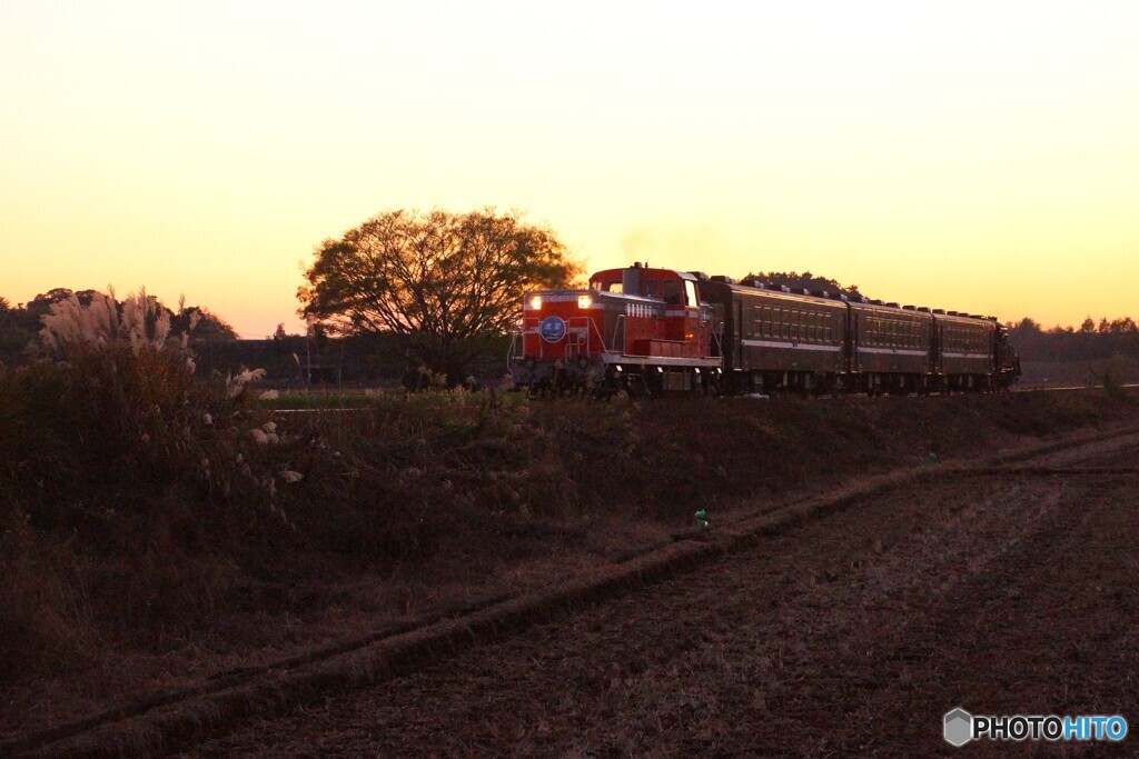 夕暮れのDE10牽引列車！