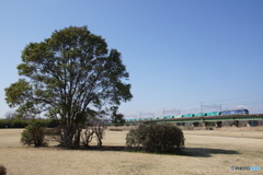 久しぶりの貨物列車撮影！