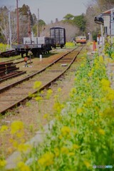 里見駅　下り列車接近中！