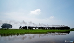 真岡鉄道　特殊運転①～⑫の中の⑧！