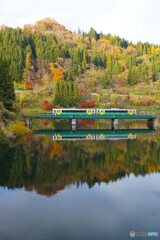 シメントリー画像！