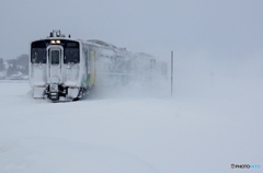 猛烈な雪景色から現れた只見線の列車！