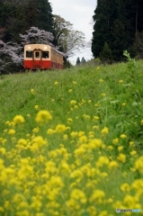 小湊鉄道　高滝築堤！①