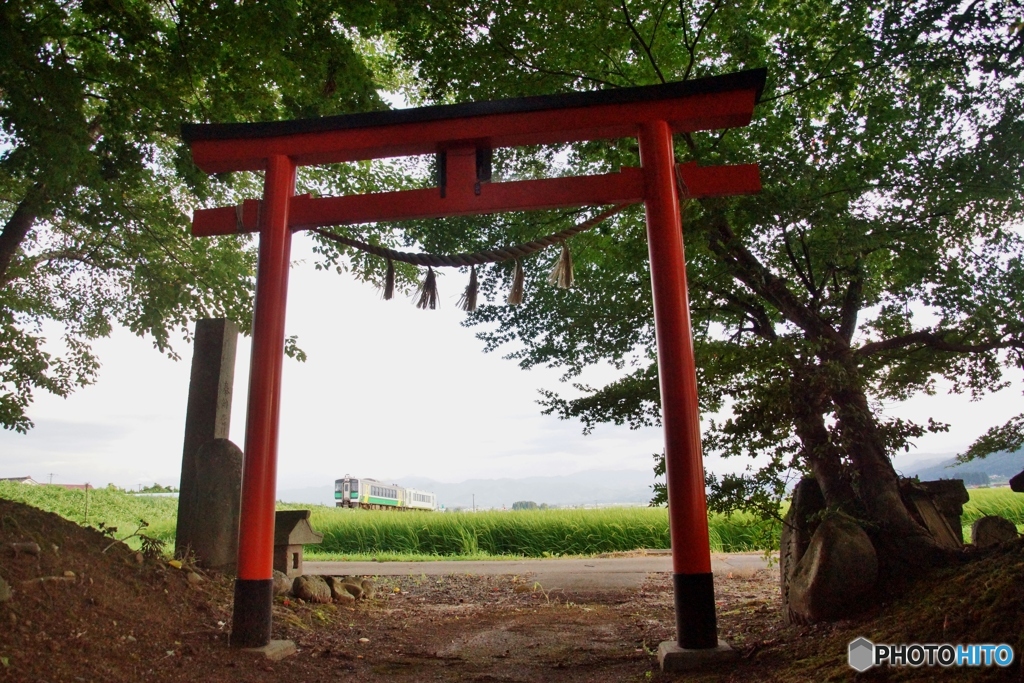 神社の鳥居と只見線！