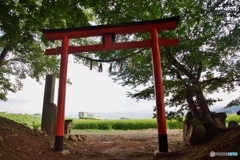 神社の鳥居と只見線！