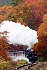 川吉の紅葉間に合う！