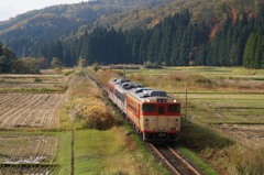 ススキ街道を行く３色ＤＣ