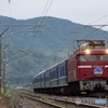 EF81牽引　臨時特急「あけぼの」！