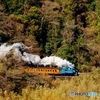 大井川鉄道　トーマス号！③（完）