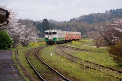 小湊鉄道の春！⑩