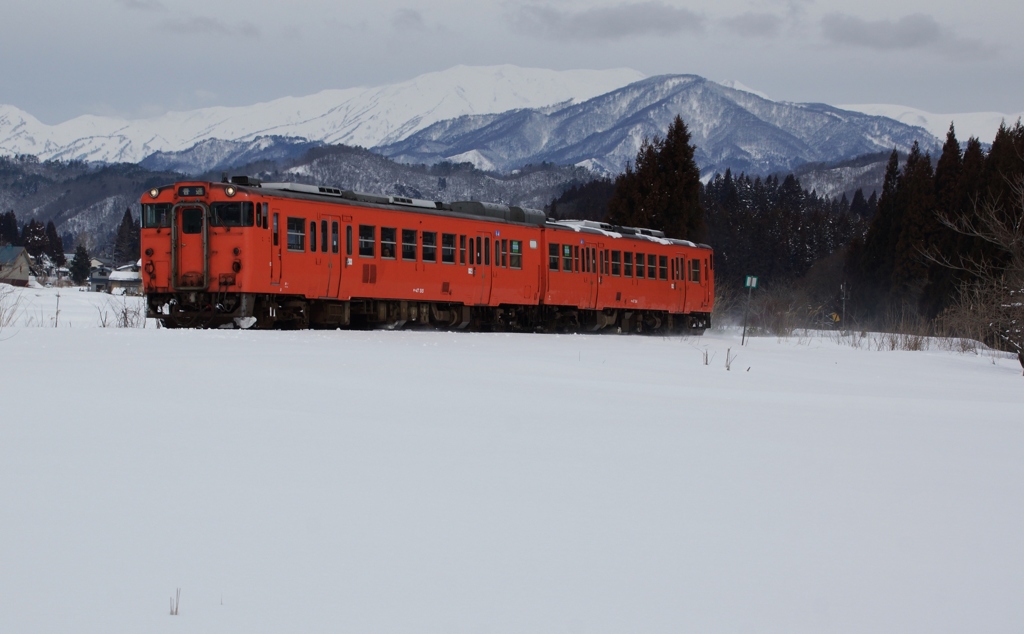 上野尻で異例のタラコ色編成！