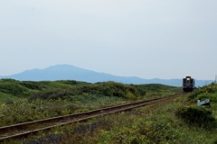 広ーい原野からキハ54が・・・