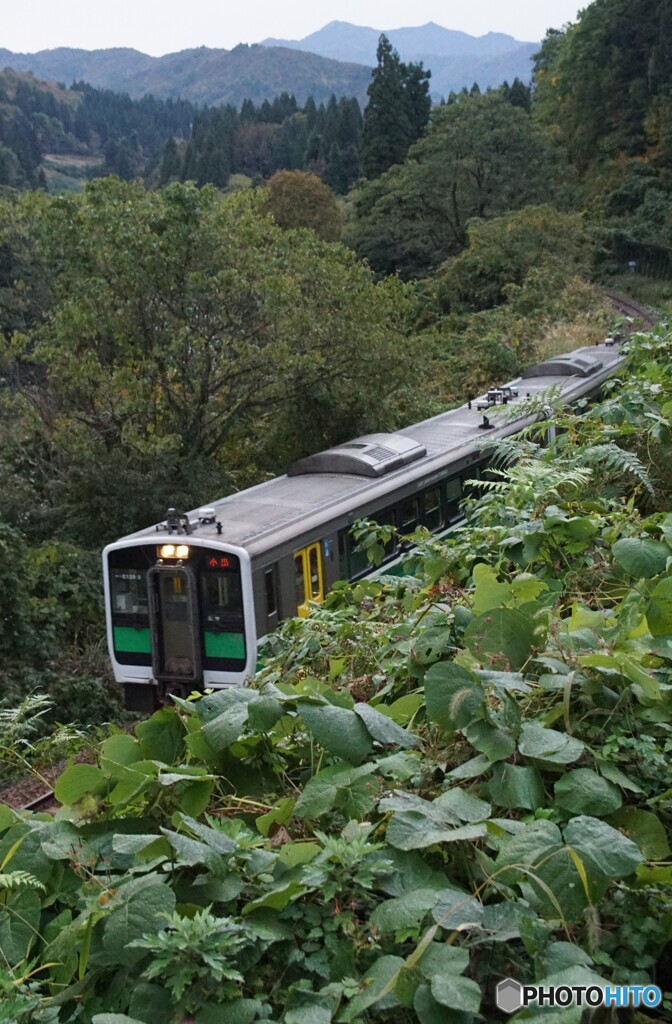 小出行きの始発列車が往く！