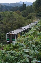 小出行きの始発列車が往く！
